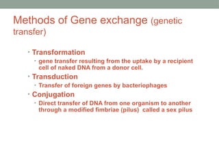 Methods of Gene exchange (genetic
transfer)
• Transformation
• gene transfer resulting from the uptake by a recipient
cell of naked DNA from a donor cell.
• Transduction
• Transfer of foreign genes by bacteriophages
• Conjugation
• Direct transfer of DNA from one organism to another
through a modified fimbriae (pilus) called a sex pilus
 