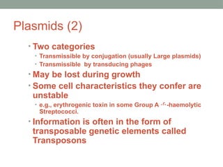 Plasmids (2)
• Two categories
• Transmissible by conjugation (usually Large plasmids)
• Transmissible by transducing phages
• May be lost during growth
• Some cell characteristics they confer are
unstable
• e.g., erythrogenic toxin in some Group A -haemolytic
Streptococci.
• Information is often in the form of
transposable genetic elements called
Transposons
 