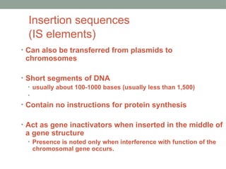Insertion sequences
(IS elements)
• Can also be transferred from plasmids to
chromosomes
• Short segments of DNA
• usually about 100-1000 bases (usually less than 1,500)
•
• Contain no instructions for protein synthesis
• Act as gene inactivators when inserted in the middle of
a gene structure
• Presence is noted only when interference with function of the
chromosomal gene occurs.
 