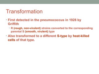 Transformation
• First detected in the pneumococcus in 1928 by
Griffith
• R (rough, non-virulent) strains converted to the corresponding
parental S (smooth, virulent) type
• Also transformed to a different S-type by heat-killed
cells of that type.
 