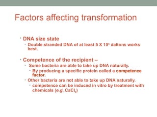 Factors affecting transformation
• DNA size state
• Double stranded DNA of at least 5 X 105
daltons works
best.
• Competence of the recipient –
• Some bacteria are able to take up DNA naturally.
• By producing a specific protein called a competence
factor.
• Other bacteria are not able to take up DNA naturally.
• competence can be induced in vitro by treatment with
chemicals (e.g. CaCl2
)
 