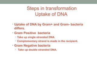 Steps in transformation
Uptake of DNA
• Uptake of DNA by Gram+ and Gram- bacteria
differs.
• Gram Positive bacteria
• Take up single stranded DNA
• Complementary strand is made in the recipient.
• Gram Negative bacteria
• Take up double stranded DNA.
 