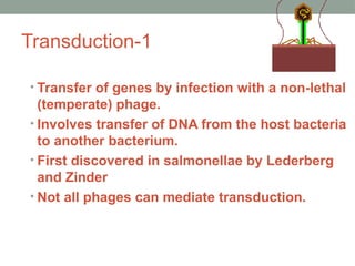Transduction-1
• Transfer of genes by infection with a non-lethal
(temperate) phage.
• Involves transfer of DNA from the host bacteria
to another bacterium.
• First discovered in salmonellae by Lederberg
and Zinder
• Not all phages can mediate transduction.
 
