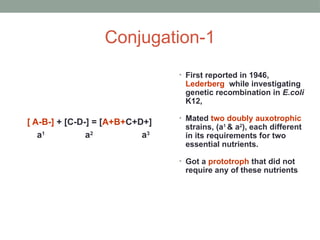 Conjugation-1
[ A-B-] + [C-D-] = [A+B+C+D+]
a1
a2
a3
• First reported in 1946,
Lederberg while investigating
genetic recombination in E.coli
K12,
• Mated two doubly auxotrophic
strains, (a1
& a2
), each different
in its requirements for two
essential nutrients.
• Got a prototroph that did not
require any of these nutrients
 
