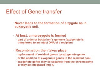 Effect of Gene transfer
• Never leads to the formation of a zygote as in
eukaryotic cell.
• At best, a merozygote is formed
• part of a donor bacterium’s genome (exogenote is
transferred to an intact DNA of a recipient
• Recombination then takes place
• replacement of resident genes by exogenote genes
• or the addition of exogenote genes to the resident pool.
• exogenote genes may lie separate from the chromosome
or may be integrated into it.
 