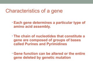 Characteristics of a gene
• Each gene determines a particular type of
amino acid assembly.
• The chain of nucleotides that constitute a
gene are composed of groups of bases
called Purines and Pyrimidines
• Gene function can be altered or the entire
gene deleted by genetic mutation
 