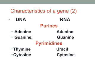 Characteristics of a gene (2)
• DNA RNA
Purines
• Adenine Adenine
• Guanine, Guanine
Pyrimidines
•Thymine Uracil
•Cytosine Cytosine
 