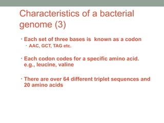 Characteristics of a bacterial
genome (3)
• Each set of three bases is known as a codon
• AAC, GCT, TAG etc.
• Each codon codes for a specific amino acid.
e.g., leucine, valine
• There are over 64 different triplet sequences and
20 amino acids
 