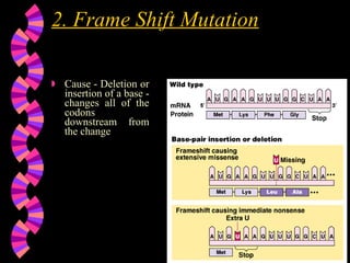 Bacterial Physiology and genetics | PPT