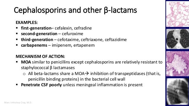 ceftriaxone gram negative rods