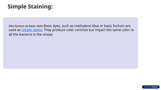 Bacterial-Staining-Methods-Visualization-and-Characterization.pptx