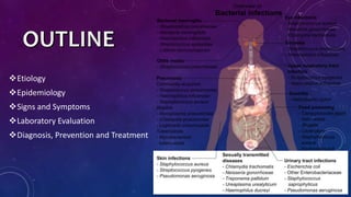 Etiology
Epidemiology
Signs and Symptoms
Laboratory Evaluation
Diagnosis, Prevention and Treatment
 