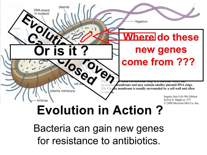 Antibiotic Evolution