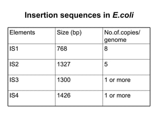Insertion sequences in  E.coli 1 or more 1426 IS4 1 or more 1300 IS3 5 1327 IS2 8 768 IS1 No.of.copies/  genome  Size (bp) Elements 