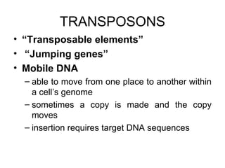 TRANSPOSONS “ Transposable elements” “ Jumping genes” Mobile DNA  able to move from one place to another within a cell’s genome sometimes a copy is made and the copy moves insertion requires target DNA sequences 