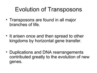 Evolution of Transposons Transposons are found in all major branches of life.  It arisen once and then spread to other kingdoms by horizontal gene transfer.  Duplications and DNA rearrangements contributed greatly to the evolution of new genes. 