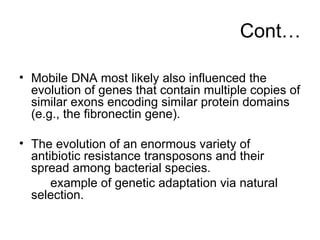 Cont… Mobile DNA most likely also influenced the evolution of genes that contain multiple copies of similar exons encoding similar protein domains (e.g., the fibronectin gene).  The evolution of an enormous variety of antibiotic resistance transposons and their spread among bacterial species.  example of genetic adaptation via natural selection.   