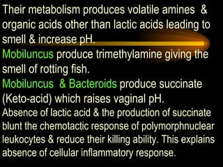 Their metabolism produces volatile amines  & organic acids other than lactic acids leading to smell & increase pH.  Mobiluncus  produce trimethylamine giving the smell of rotting fish.  Mobiluncus  & Bacteroids  produce succinate (Keto-acid) which raises vaginal pH.  Absence of lactic acid & the production of succinate blunt the chemotactic response of polymorphnuclear leukocytes & reduce their killing ability. This explains absence of cellular inflammatory response.  