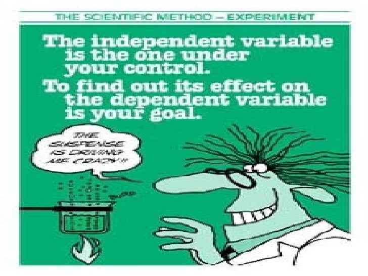 Experimental Design and the Bacteria lab