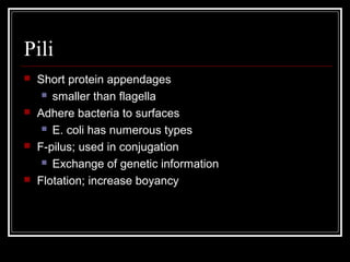 Pili
 Short protein appendages
 smaller than flagella
 Adhere bacteria to surfaces
 E. coli has numerous types
 F-pilus; used in conjugation
 Exchange of genetic information
 Flotation; increase boyancy
 