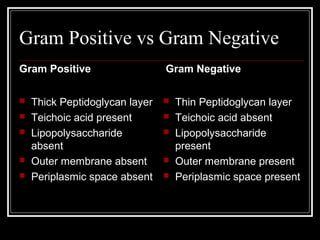 Gram Positive vs Gram Negative
Gram Positive
 Thick Peptidoglycan layer
 Teichoic acid present
 Lipopolysaccharide
absent
 Outer membrane absent
 Periplasmic space absent
Gram Negative
 Thin Peptidoglycan layer
 Teichoic acid absent
 Lipopolysaccharide
present
 Outer membrane present
 Periplasmic space present
 