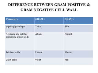 DIFFERENCE BETWEEN GRAM POSITIVE &
GRAM NEGATIVE CELL WALL
Characters GRAM + GRAM -
peptidoglycan layer Thick Thin
Aromatic and sulphur
containing amino acids
Absent Present
Teichoic acids Present Absent
Gram stain Violet Red
 