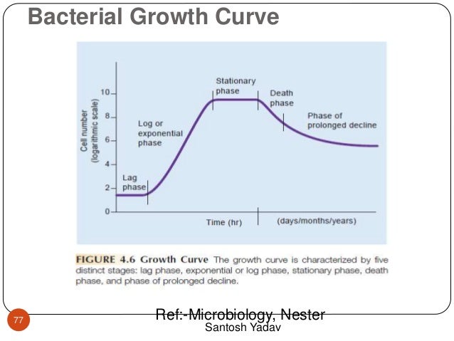Bacterial Growth At Room Temperature Bacterial Growth At Room Temperature