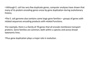 • Although E. coli has very few duplicate genes, computer analyses have shown that
many of its protein-encoding genes arose by gene duplication during evolutionary
history.
•The E. coli genome also contains some large gene families— groups of genes with
related sequences encoding products with related functions.
•For example, there is a family of 70 genes that all encode membrane transport
proteins. Gene families are common, both within a species and across broad
taxonomic lines.
•Thus gene duplication plays a major role in evolution.
 