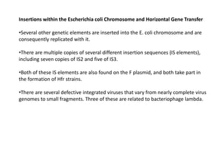 Insertions within the Escherichia coli Chromosome and Horizontal Gene Transfer
•Several other genetic elements are inserted into the E. coli chromosome and are
consequently replicated with it.
•There are multiple copies of several different insertion sequences (IS elements),
including seven copies of IS2 and five of IS3.
•Both of these IS elements are also found on the F plasmid, and both take part in
the formation of Hfr strains.
•There are several defective integrated viruses that vary from nearly complete virus
genomes to small fragments. Three of these are related to bacteriophage lambda.
 