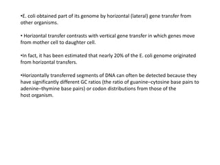 •E. coli obtained part of its genome by horizontal (lateral) gene transfer from
other organisms.
• Horizontal transfer contrasts with vertical gene transfer in which genes move
from mother cell to daughter cell.
•In fact, it has been estimated that nearly 20% of the E. coli genome originated
from horizontal transfers.
•Horizontally transferred segments of DNA can often be detected because they
have significantly different GC ratios (the ratio of guanine–cytosine base pairs to
adenine–thymine base pairs) or codon distributions from those of the
host organism.
 