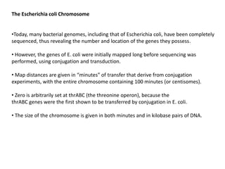The Escherichia coli Chromosome
•Today, many bacterial genomes, including that of Escherichia coli, have been completely
sequenced, thus revealing the number and location of the genes they possess.
• However, the genes of E. coli were initially mapped long before sequencing was
performed, using conjugation and transduction.
• Map distances are given in “minutes” of transfer that derive from conjugation
experiments, with the entire chromosome containing 100 minutes (or centisomes).
• Zero is arbitrarily set at thrABC (the threonine operon), because the
thrABC genes were the first shown to be transferred by conjugation in E. coli.
• The size of the chromosome is given in both minutes and in kilobase pairs of DNA.
 