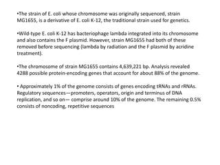 •The strain of E. coli whose chromosome was originally sequenced, strain
MG1655, is a derivative of E. coli K-12, the traditional strain used for genetics.
•Wild-type E. coli K-12 has bacteriophage lambda integrated into its chromosome
and also contains the F plasmid. However, strain MG1655 had both of these
removed before sequencing (lambda by radiation and the F plasmid by acridine
treatment).
•The chromosome of strain MG1655 contains 4,639,221 bp. Analysis revealed
4288 possible protein-encoding genes that account for about 88% of the genome.
• Approximately 1% of the genome consists of genes encoding tRNAs and rRNAs.
Regulatory sequences—promoters, operators, origin and terminus of DNA
replication, and so on— comprise around 10% of the genome. The remaining 0.5%
consists of noncoding, repetitive sequences
 