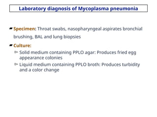 Comprehensive Overview of Bacterial Atypical Pneumonia: Pathogens ...