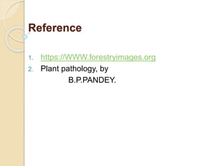 Reference
1. https://WWW.forestryimages.org
2. Plant pathology, by
B.P.PANDEY.
 