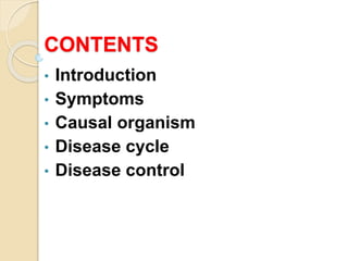CONTENTS
• Introduction
• Symptoms
• Causal organism
• Disease cycle
• Disease control
 