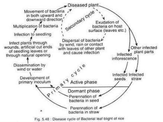 planning blight definition planning blight definition