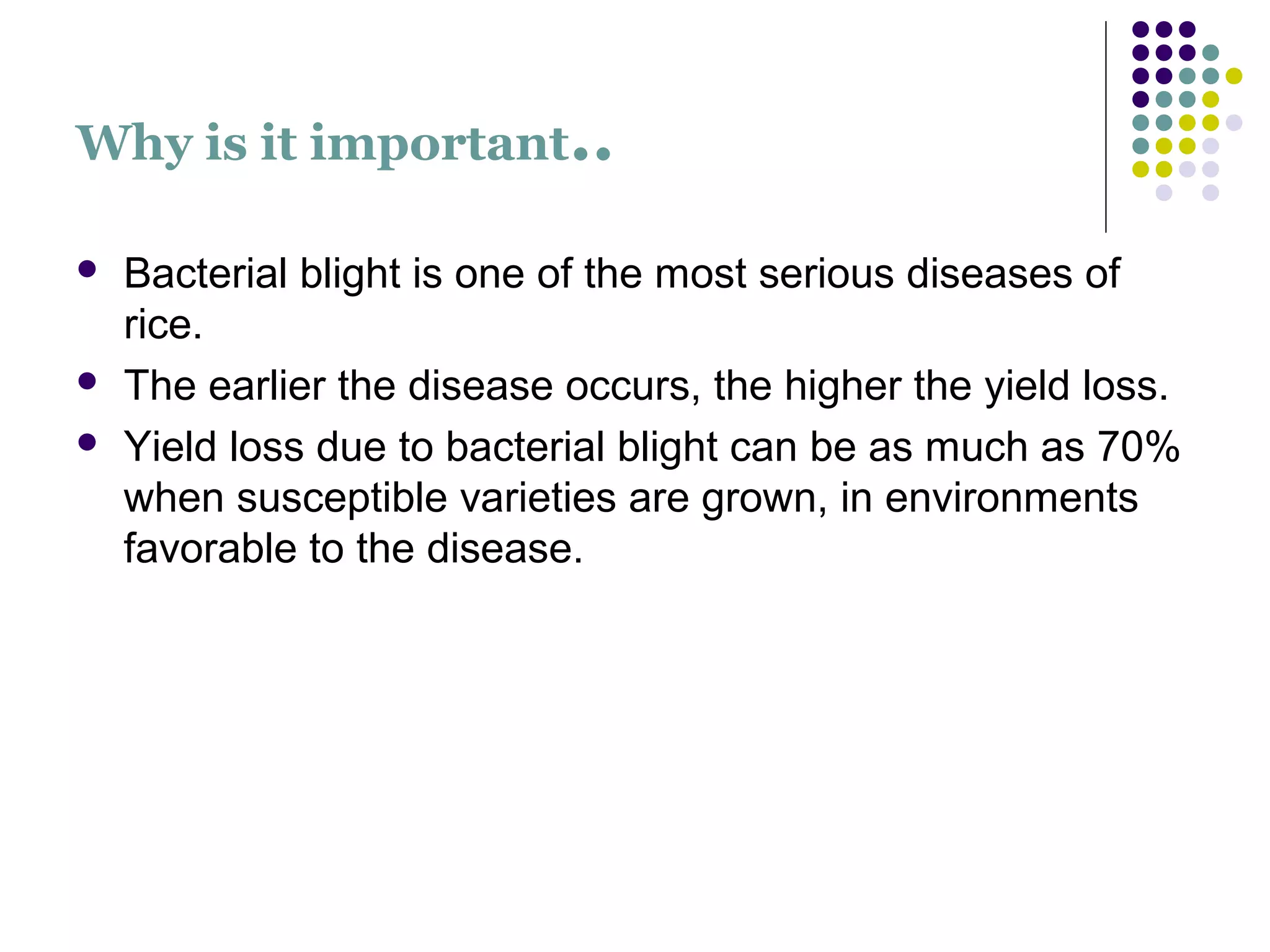 Bacterial blight of Rice | PPT