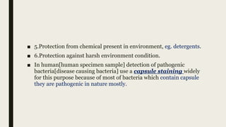 ■ 5.Protection from chemical present in environment, eg. detergents.
■ 6.Protection against harsh environment condition.
■ In human[human specimen sample] detection of pathogenic
bacteria[disease causing bacteria] use a capsule staining widely
for this purpose because of most of bacteria which contain capsule
they are pathogenic in nature mostly.
 