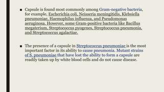 ■ Capsule is found most commonly among Gram-negative bacteria,
for example, Escherichia coli, Neisseria meningitidis, Klebsiella
pneumoniae, Haemophilus influenza, and Pseudomonas
aeruginosa. However, some Gram-positive bacteria like Bacillus
megaterium, Streptococcus pyogenes, Streptococcus pneumonia,
and Streptococcus agalactiae.
■ The presence of a capsule in Streptococcus pneumoniae is the most
important factor in its ability to cause pneumonia. Mutant strains
of S. pneumoniae that have lost the ability to form a capsule are
readily taken up by white blood cells and do not cause disease.
 
