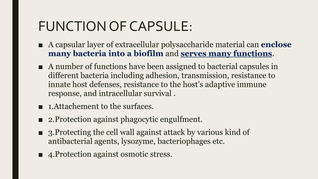 What Is The Function Of A Capsule