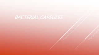 BACTERIAL CAPSULES
 