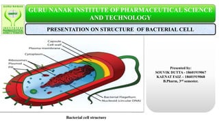 PRESENTATION ON STRUCTURE OF BACTERIAL CELL
Presented by:
SOUVIK DUTTA - 18601919067
KAENAT FAIZ – 18601919068
B.Pharm, 3rd semester.
Bacterial cell structure
GURU NANAK INSTITUTE OF PHARMACEUTICAL SCIENCE
AND TECHNOLOGY
 