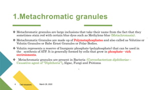 1.Metachromatic granules
 Metachromatic granules are large inclusions that take their name from the fact that they
sometimes stain red with certain blue dyes such as Methylene blue (Metachromasia).
 Metachromatic Granules are made up of Polymetaphosphates and also called as Volutins or
Volutin Granules or Babe Ernst Granules or Polar Bodies.
 Volutin represents a reserve of Inorganic phosphate (polyphosphate) that can be used in
the synthesis of ATP. It is generally formed by cells that grow in phosphate - rich
environments.
 Metachromatic granules are present in Bacteria (Corynebacterium diphtheriae –
Causative agent of “Diphtheria”), Algae, Fungi and Protozoa.

.
.
.
4 Cell inclusions March 29, 2022
 