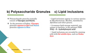 b) Polysaccharide Granules c) Lipid inclusions
 Polysaccharide granules typically
consist of Glycogen and Starch.
 In the presence of Iodine, Glycogen
granules appears in Red and Starch
granules appears in Blue.
• Lipid inclusions appear in various species
of Mycobacterium, Bacillus, Azotobacter,
Spirillum and other genera.
• A common lipid-storage material, one
unique to bacteria, is the polymer PHB
(Poly – β – hydrobybutyric acid).
• Lipid inclusions are revealed by staining
cells with fat-soluble dyes, such as Sudan
dyes

.
March 29, 2022
Annual Review
5
 
