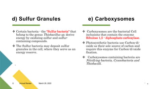 d) Sulfur Granules e) Carboxysomes
 Certain bacteria - the "Sulfur bacteria" that
belong to the genus Thiobacillus sp. derive
energy by oxidizing sulfur and sulfur-
containing compounds.
 The Sulfur bacteria may deposit sulfur
granules in the cell, where they serve as an
energy reserve.
 Carboxysomes are the bacterial Cell
inclusions that contain the enzyme
Ribulose 1,5 - diphosphate carboxylase.
 Photosynthetic bacteria use Carbon-di-
oxide as their sole source of carbon and
require this enzyme for Carbon-di-oxide
fixation.
 Carboxysomes containing bacteria are
Nitrifying bacteria, Cyanobacteria and
Thiobacilli.

.
•
.
March 29, 2022
Annual Review
6
 