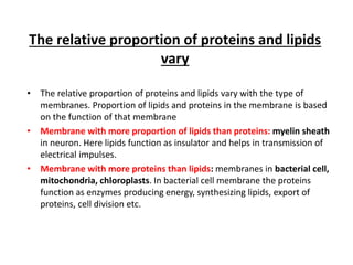 The relative proportion of proteins and lipids
vary
• The relative proportion of proteins and lipids vary with the type of
membranes. Proportion of lipids and proteins in the membrane is based
on the function of that membrane
• Membrane with more proportion of lipids than proteins: myelin sheath
in neuron. Here lipids function as insulator and helps in transmission of
electrical impulses.
• Membrane with more proteins than lipids: membranes in bacterial cell,
mitochondria, chloroplasts. In bacterial cell membrane the proteins
function as enzymes producing energy, synthesizing lipids, export of
proteins, cell division etc.
 