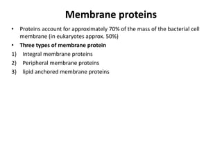 Membrane proteins
• Proteins account for approximately 70% of the mass of the bacterial cell
membrane (in eukaryotes approx. 50%)
• Three types of membrane protein
1) Integral membrane proteins
2) Peripheral membrane proteins
3) lipid anchored membrane proteins
 
