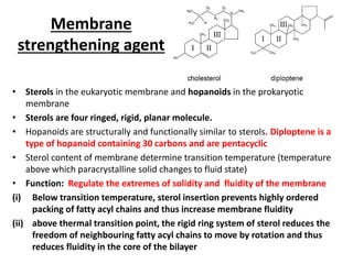 Membrane
strengthening agent
• Sterols in the eukaryotic membrane and hopanoids in the prokaryotic
membrane
• Sterols are four ringed, rigid, planar molecule.
• Hopanoids are structurally and functionally similar to sterols. Diploptene is a
type of hopanoid containing 30 carbons and are pentacyclic
• Sterol content of membrane determine transition temperature (temperature
above which paracrystalline solid changes to fluid state)
• Function: Regulate the extremes of solidity and fluidity of the membrane
(i) Below transition temperature, sterol insertion prevents highly ordered
packing of fatty acyl chains and thus increase membrane fluidity
(ii) above thermal transition point, the rigid ring system of sterol reduces the
freedom of neighbouring fatty acyl chains to move by rotation and thus
reduces fluidity in the core of the bilayer
 