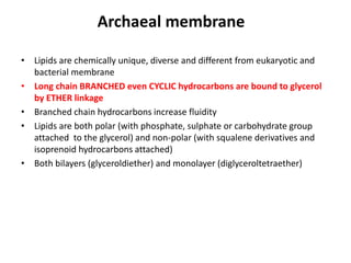 Archaeal membrane
• Lipids are chemically unique, diverse and different from eukaryotic and
bacterial membrane
• Long chain BRANCHED even CYCLIC hydrocarbons are bound to glycerol
by ETHER linkage
• Branched chain hydrocarbons increase fluidity
• Lipids are both polar (with phosphate, sulphate or carbohydrate group
attached to the glycerol) and non-polar (with squalene derivatives and
isoprenoid hydrocarbons attached)
• Both bilayers (glyceroldiether) and monolayer (diglyceroltetraether)
 