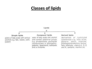 Classes of lipids
 